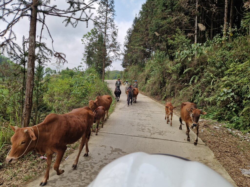 4 Days 3 Nights : Ha Giang Loop Tour gallery image 6