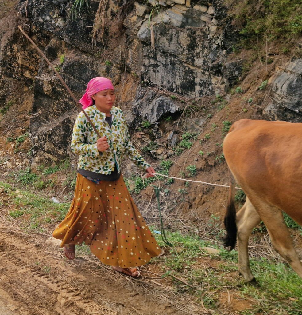 3 Days 2 Nights : Ha Giang Loop Tour gallery image 8