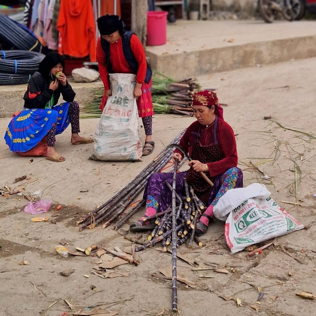 3 Days 2 Nights : Ha Giang Loop Tour gallery image 14