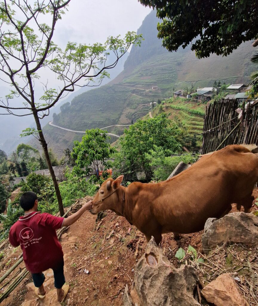 Private Tour : 4 Days 3 Nights – Ha Giang Loop Tour gallery image 10