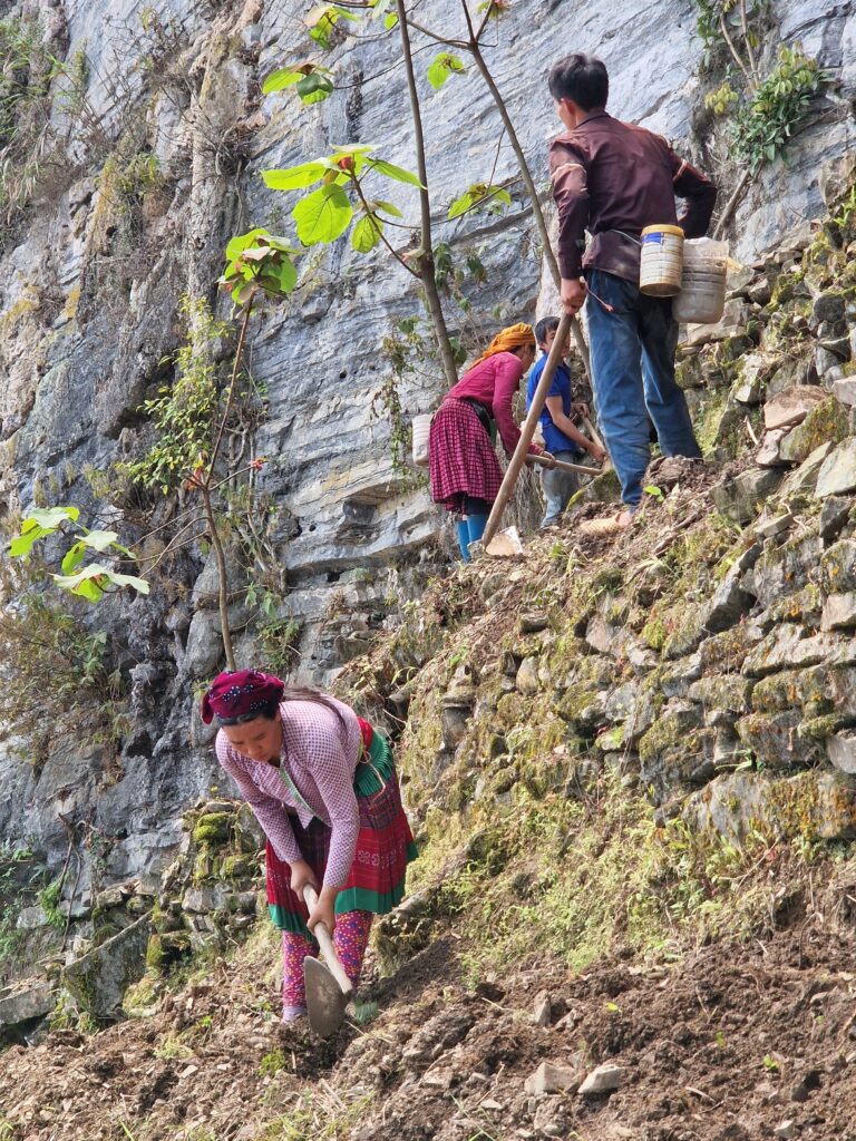 Private Tour : 3 Days 2 Nights – Ha Giang Loop Tour gallery image 3