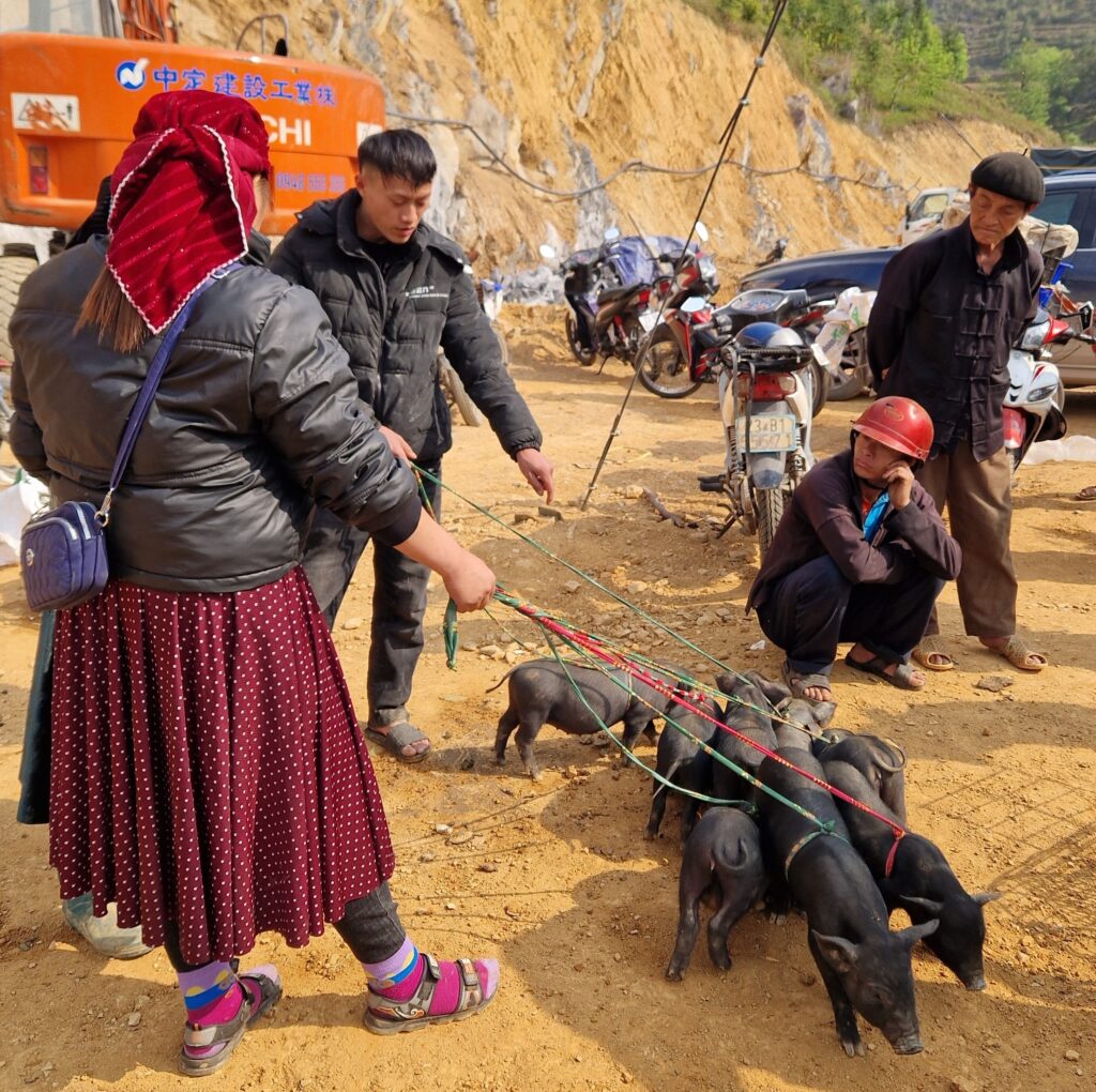 Hiking Tour : 3 Days 2 Nights Ha Giang By Car & Motorbike gallery image 14