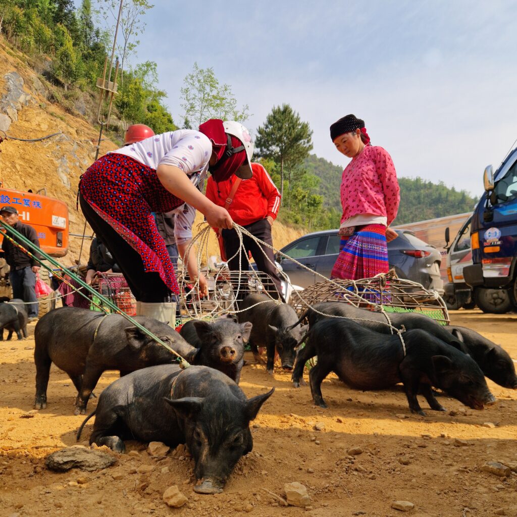 Hiking Tour : 3 Days 2 Nights Ha Giang By Car & Motorbike gallery image 19