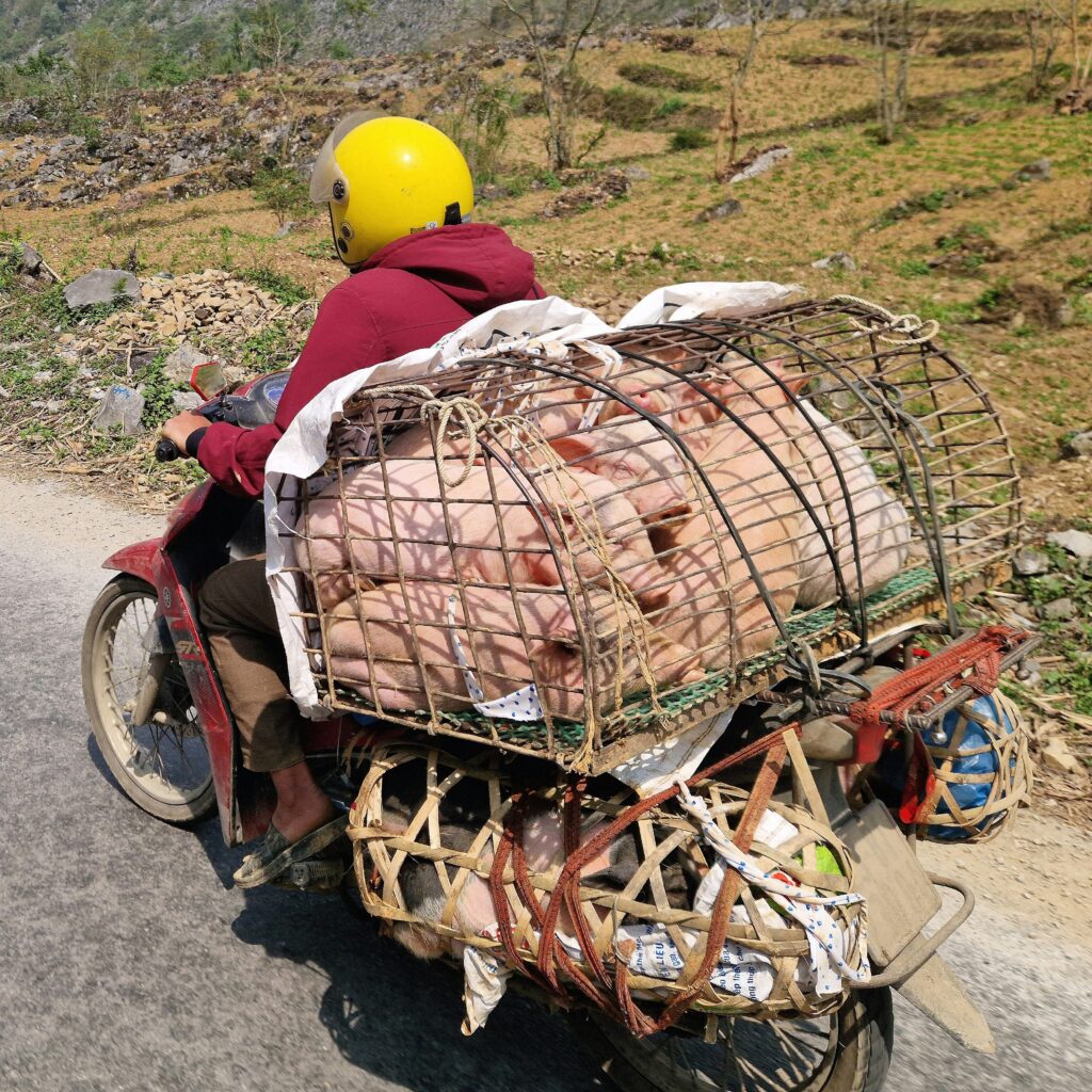 Hiking Tour : 3 Days 2 Nights Ha Giang By Car & Motorbike gallery image 24